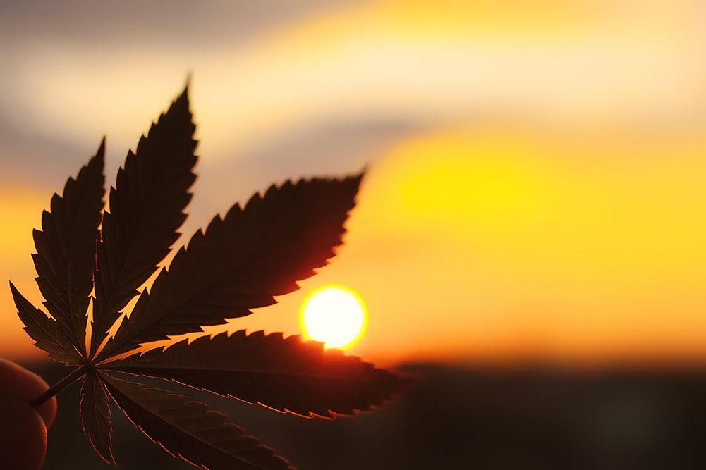 Aleksandr / AdobeStock.com