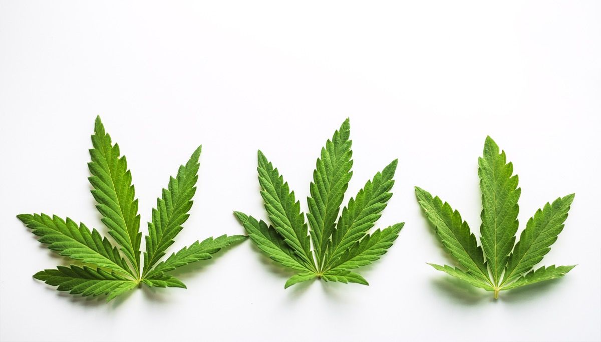 <![CDATA[Nonpsychoactive Cannabinoids: Science, Safety, and Therapeutic Potential]]>