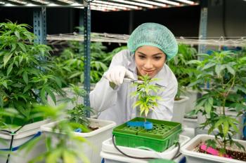 Image | adobe.stock/kelvn