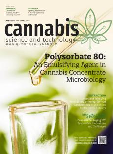 Cannabis Testing Concept | Image Credit: Elroi / adobe.stock.com