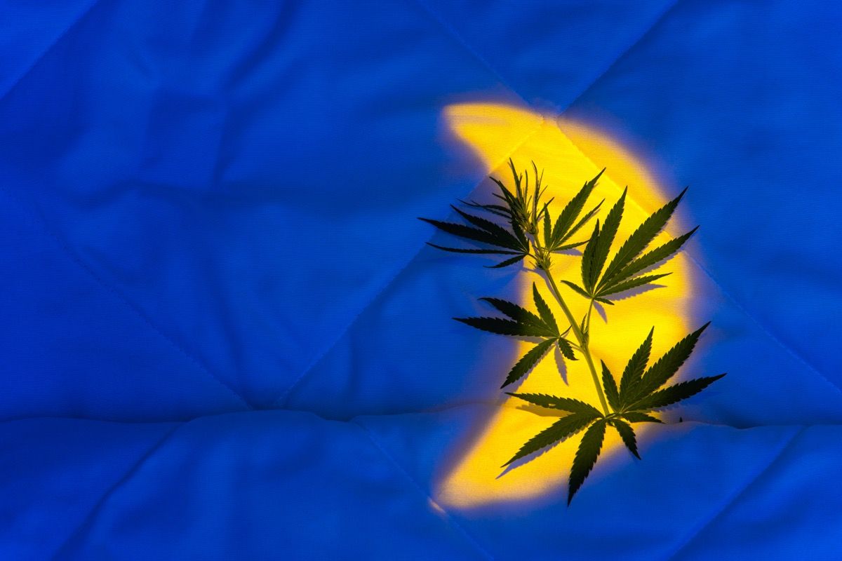 August 2025 Healer Webinar: Research on Cannabis and Sleep, Part I