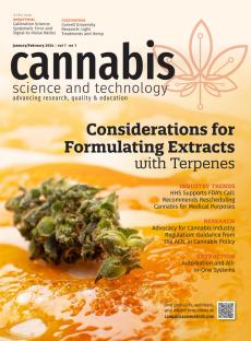 Cannabis Terpene Concept | Image Credit: © Fukume - adobe.stock.com