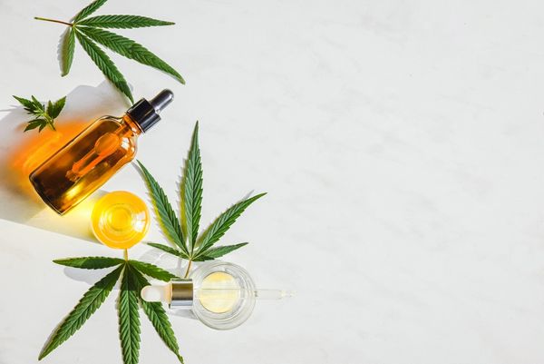 2025 Medical Cannabis Roundup