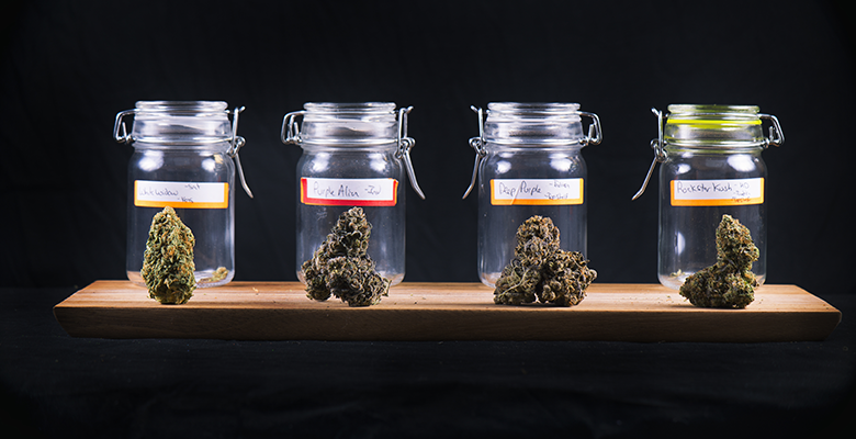 ROXXYPHOTOS - STOCK.ADOBE.COM