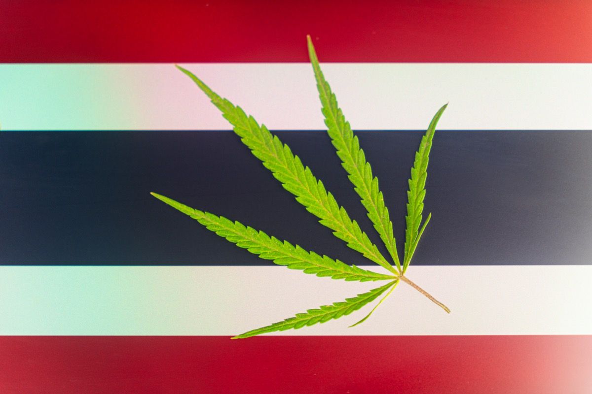 Thailand Restricts Recreational Cannabis Use, Returns to Medical-Only Market