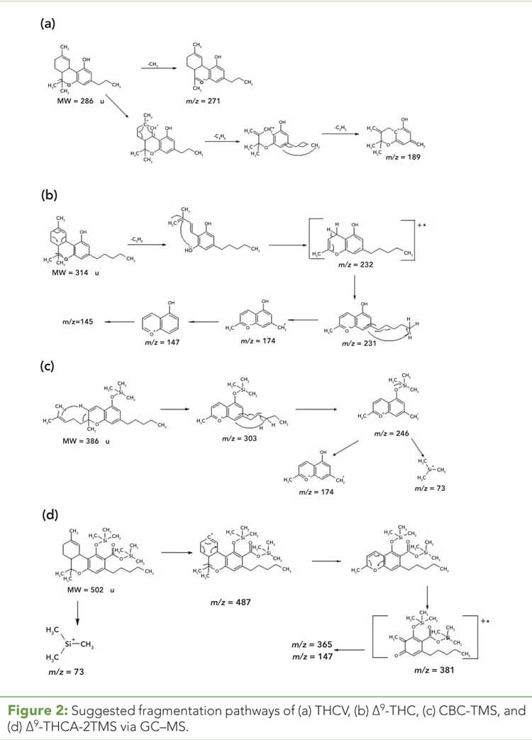 Choosing Analytical Tools to Assess Complex Cannabis-Infused Matrices