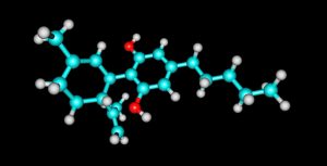 Photo credit: OLLAWEILA/STOCK.ADOBE.COM