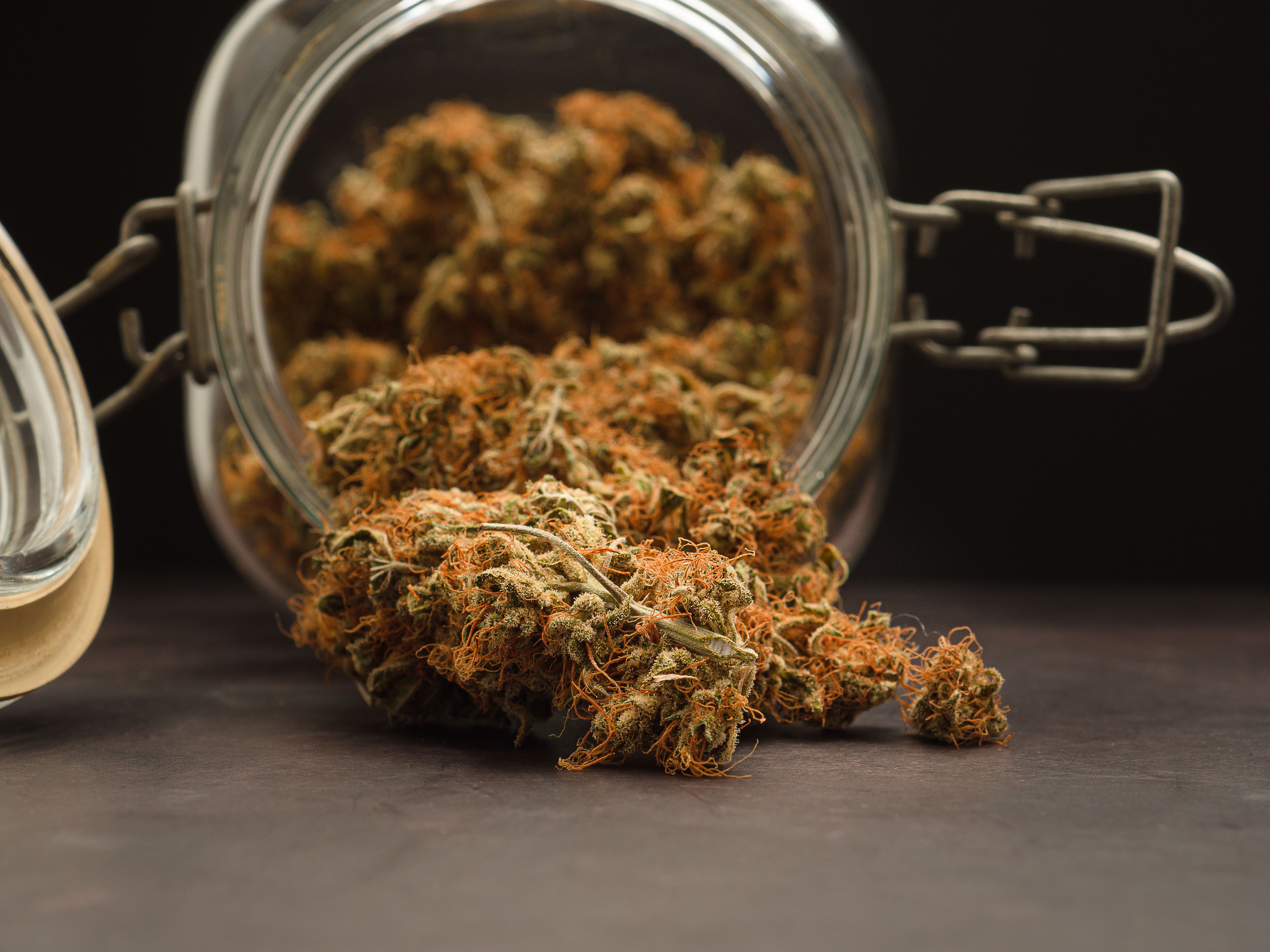 Long Island Cannabis Dispensary Strong Strains Addresses Recent Cease-and-Desist Letter