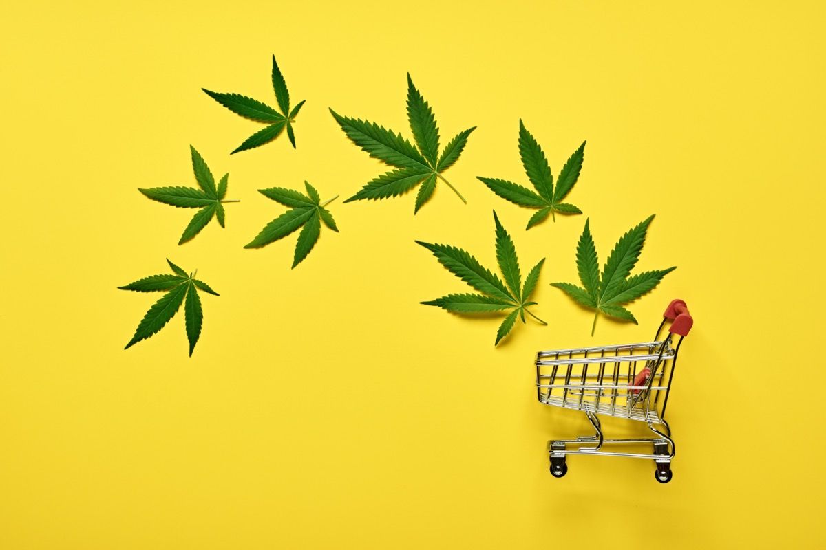 Virginia Reports $30 Million in Medical Cannabis Sales with New Seed-to-Sale Tracking System