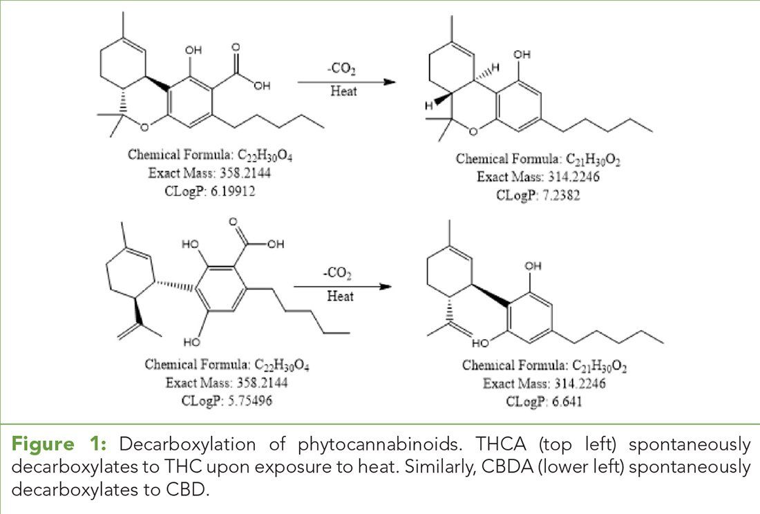 The Stability Of Acid Phytocannabinoids Using Electrospray Ionization Lc Ms In Positive And Negative Modes