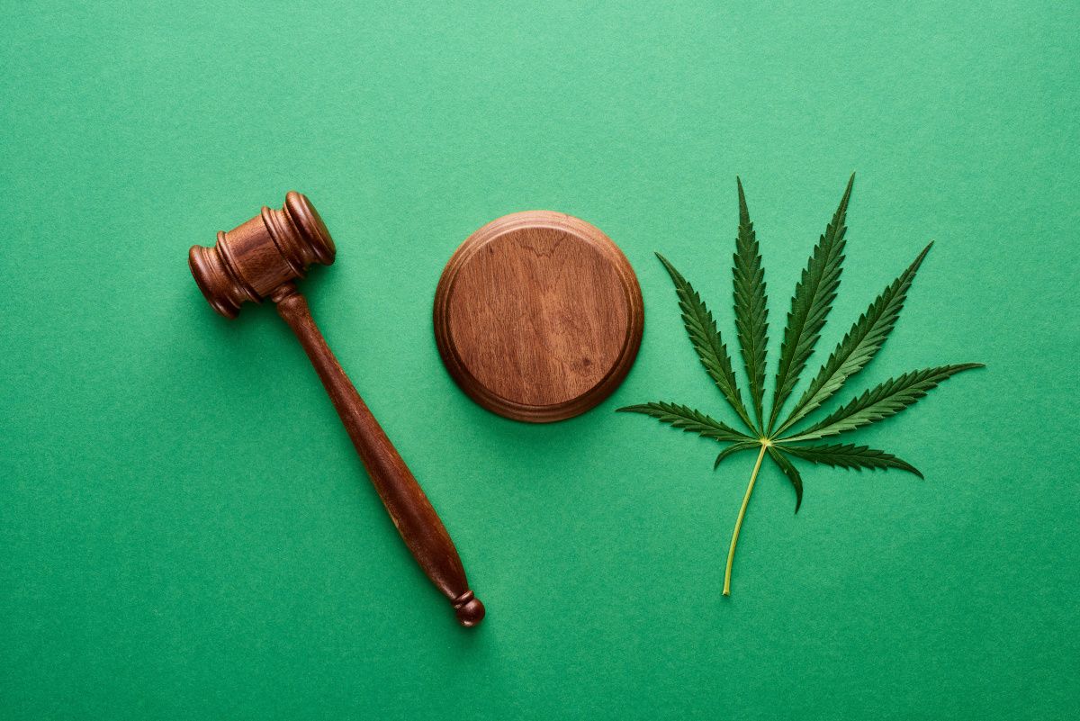 gavel and hemp leaf on green background