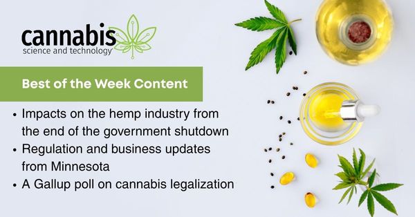 Best of the Week: November 7 – November 13, 2025