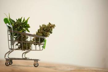 Image | adobe.stock/Elroi