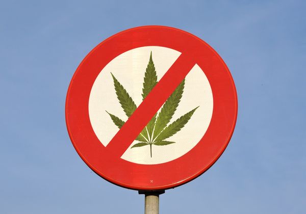 Ohio Enacts Temporary Ban on Intoxicating Hemp Products to Protect Public Health