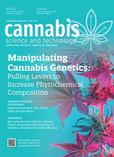 Image | adobe.stock/Tsareva/Pro