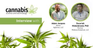 How Cannabis Growth Stages Impact Energy Use and Lighting Needs