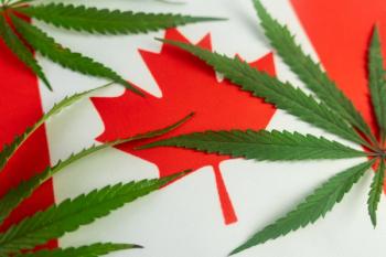 Image | adobe.stock/diy13