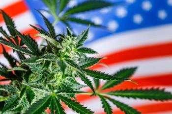 Image | adobe.stock/bukhta79