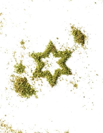 PHOTO CREDIT: TWO BRIDGES DESIGN AND THE AMERICA ISRAEL CANNABIS ASSOCIATION