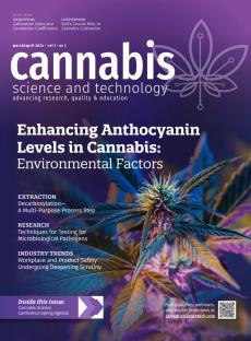 Cannabis Anthocyanene Concept | Image Credit: Tsareva.pro / adobe.stock.com