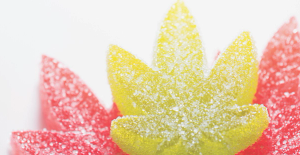 Matthew - stock.adobe.com