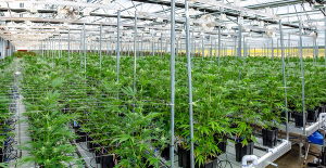 © RABBITHOLEPHOTO / ADOBESTOCK.COM