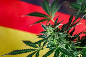 German Medical Cannabis Market Has Yet to Reach Its Full Potential
