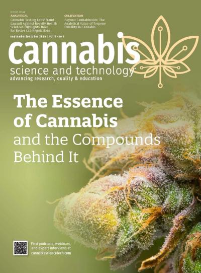 Image | adobe.stock/Gideon