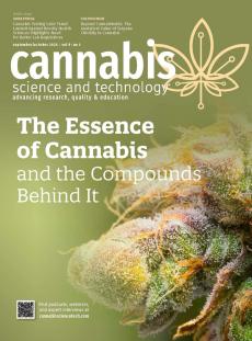 Image | adobe.stock/Gideon