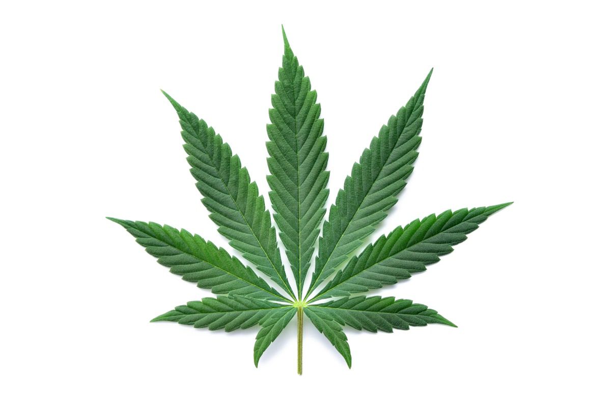 House Appropriations Committee Advances FY26 Spending Bill Blocking Cannabis Rescheduling
