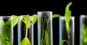 ©MICHAEL SAPRYHIN - STOCK.ADOBE.COM