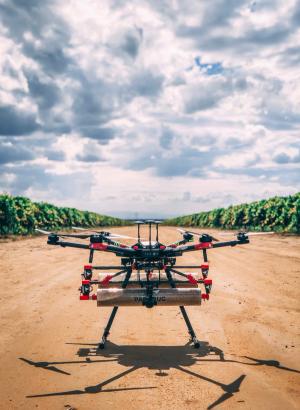 photo provided by Kevin Hill Parabug