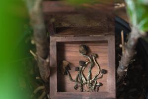 Alexander/ adobe.stock.com