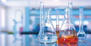 BIDAALA_STUDIO/Shutterstock.com