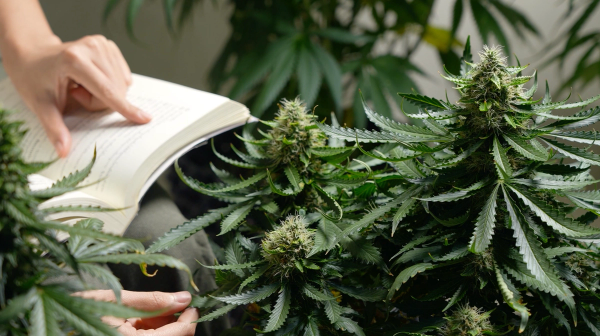 Check Out Our Higher Education Supplement!