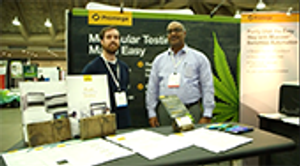 Importance of DNA Purification for Cannabis
