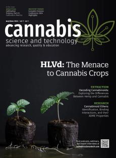 Cannabis seedlings | Image Credit: Katie / adobe.stock.com