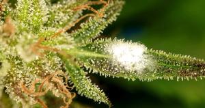 ELROI - STOCK.ADOBE.COM