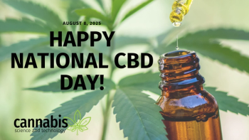 Image | adobe.stock/EKKAPON