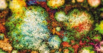 Giroscience/shutterstock.com