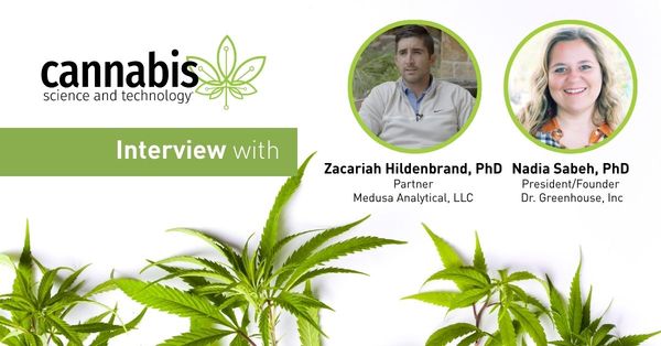 Indoor Cannabis Growing: Optimizing Air Circulation