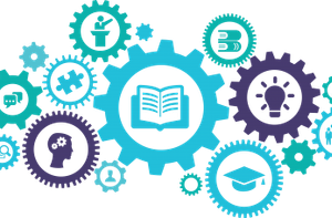 It’s Not Too Late: Post-Harvest Solutions to Microbial Contamination Issues