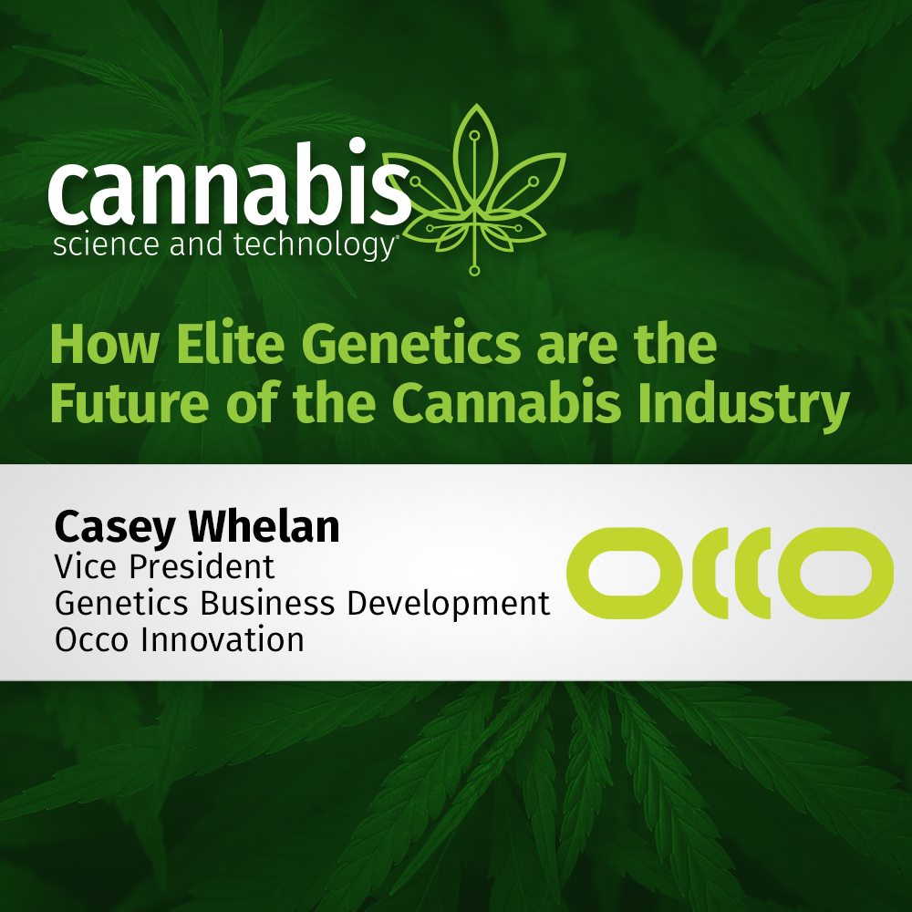 Occo: How Elite Genetics are the Future of the Cannabis Industry ...