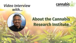 About the Cannabis Research Institute: An Interview with Reginald Gaudino, PhD
