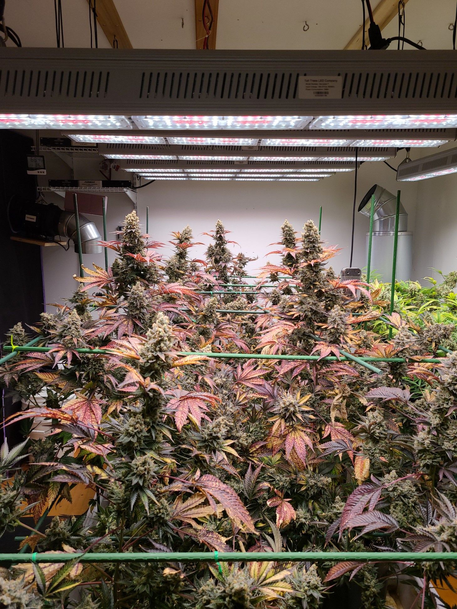 robert manes and zacariah hildenbrand