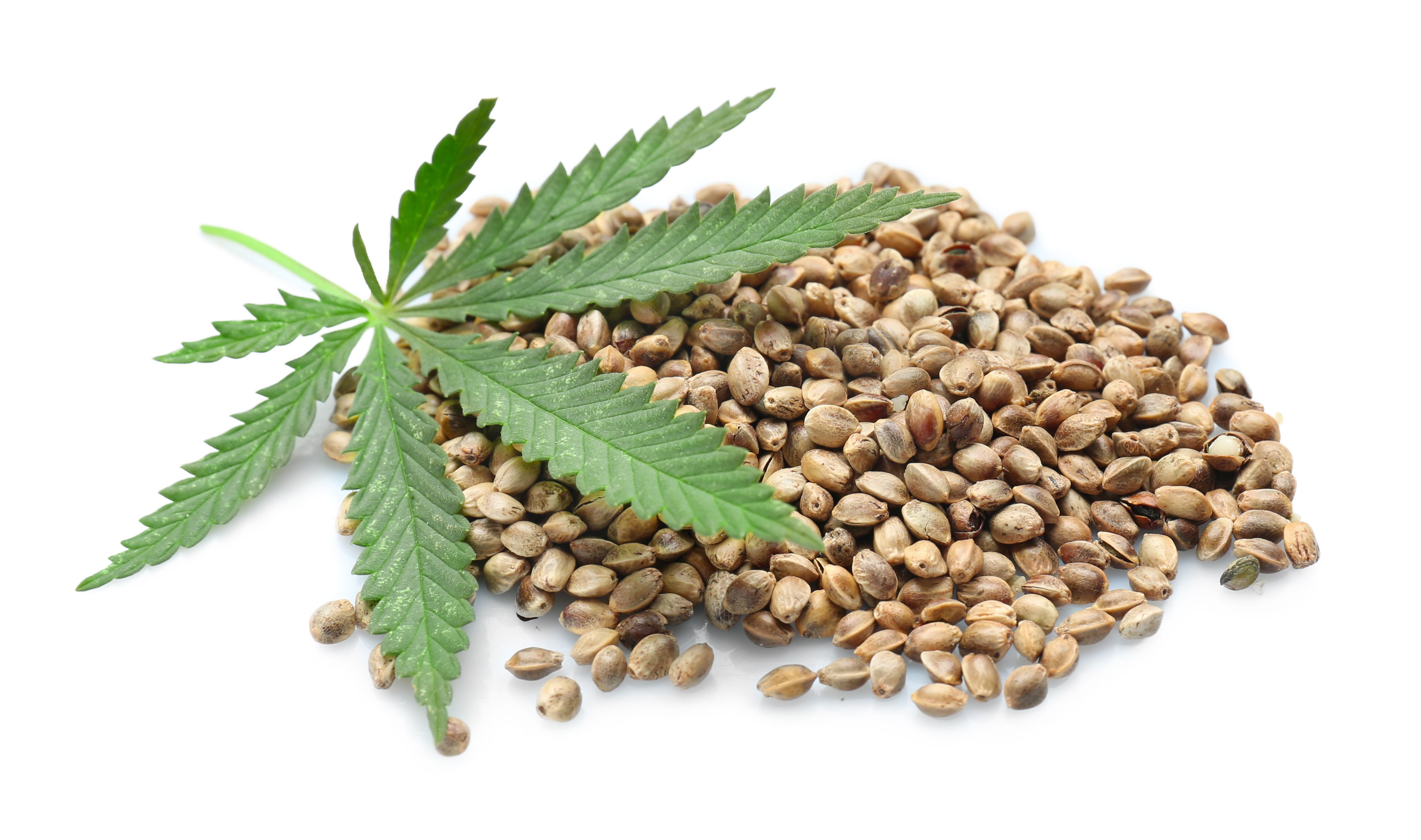 Hemp Food Division by Blue Sky Hemp Sold to Fresh Hemp Foods