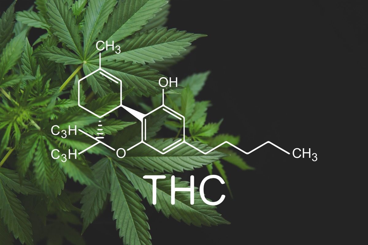 New Study Links THC Consumption to Negative Effects on Female Fertility
