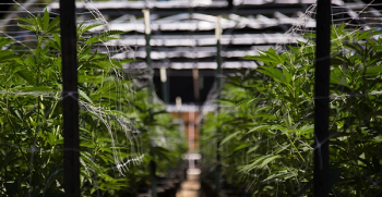 RYLAND ZWEIFEL / ADOBESTOCK.COM