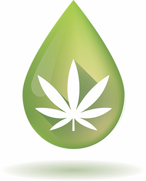 Engineering Considerations for the cGMP Manufacture of Hemp and Hemp Products