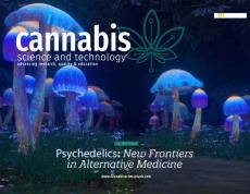 2023 Psychedelics: New Frontiers in Alternative Medicine